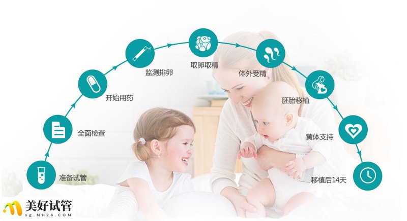 供卵助孕流程